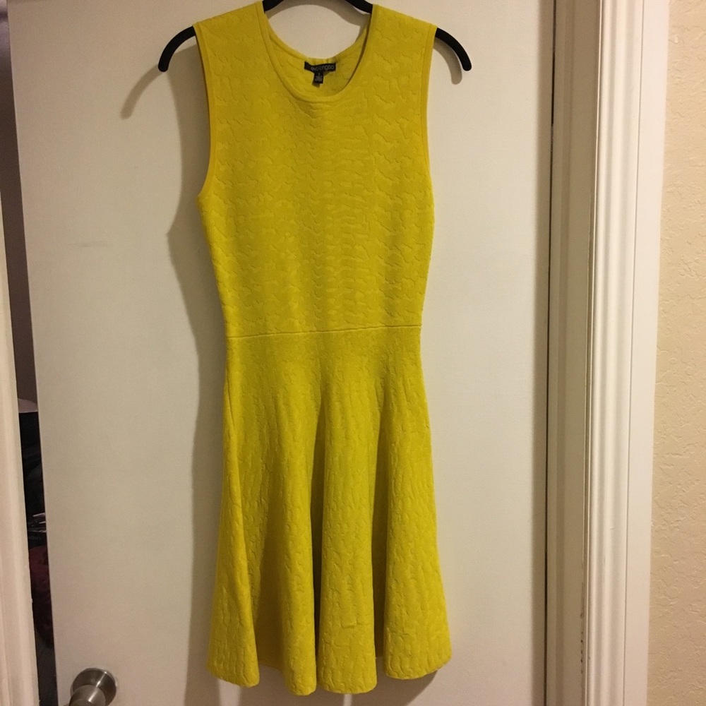 Sleeveless Yellow Midi Fit & Flare Dress